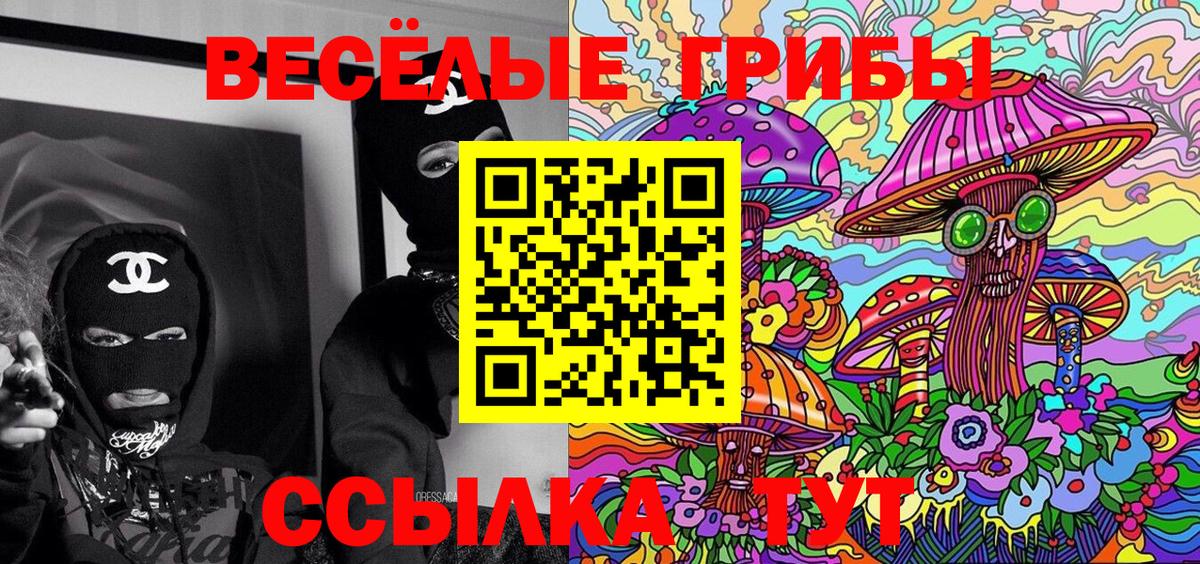 Галлюциногенные грибы Psilocybe Орск