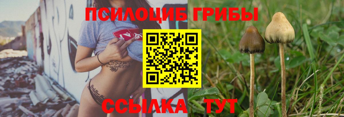 Орск  Псилоцибиновые грибы прущие грибы  Галлюциногенные грибы GOLDEN TEACHER  Вход с VPN 